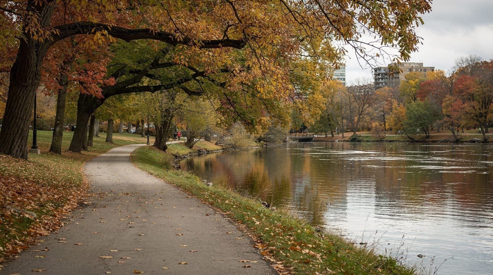 London, Ontario