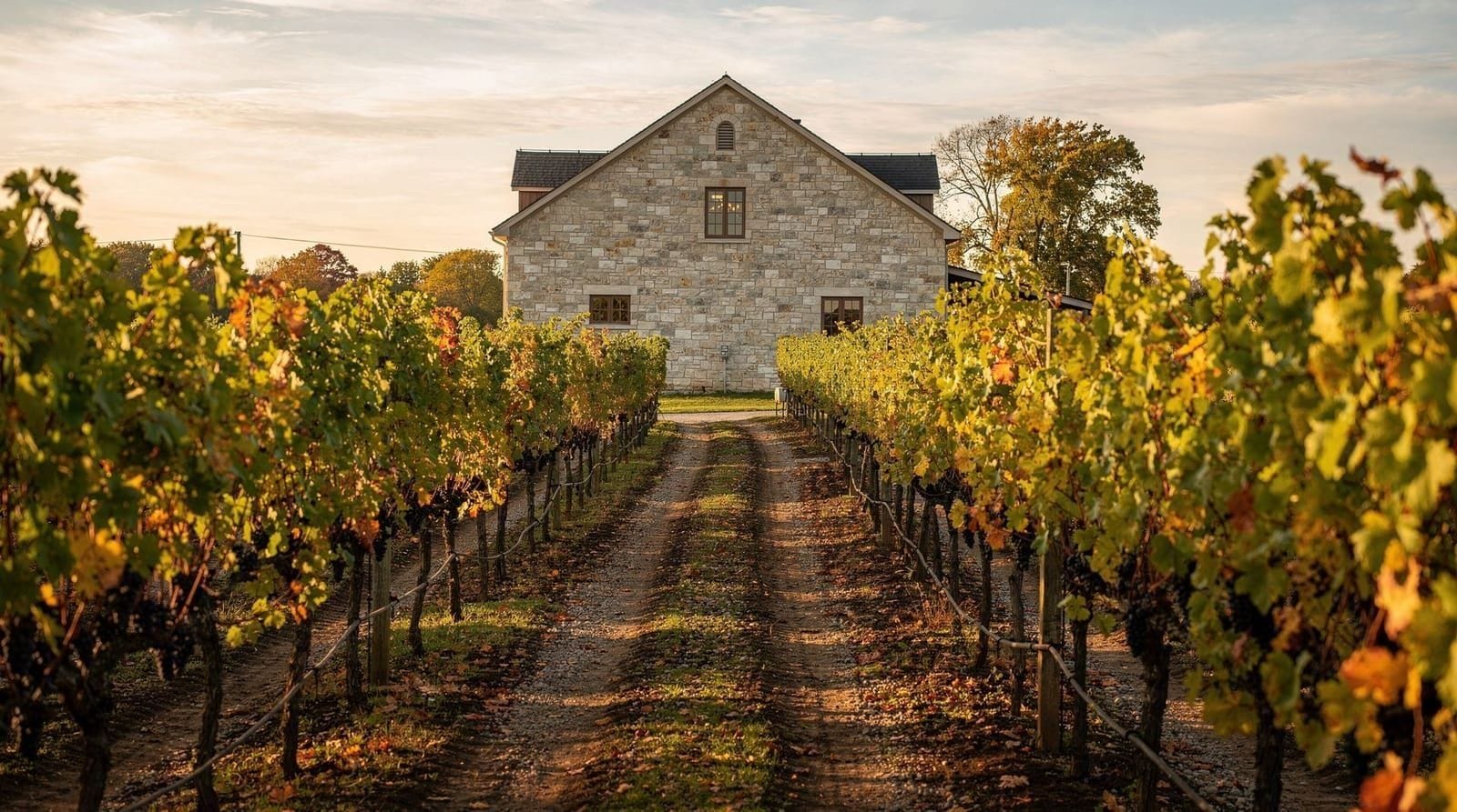Beste wijnhuizen in Niagara-on-the-Lake — Niagara-on-the-Lake's meest bezochte wijnhuizen, van proeflokalen aan het meer t