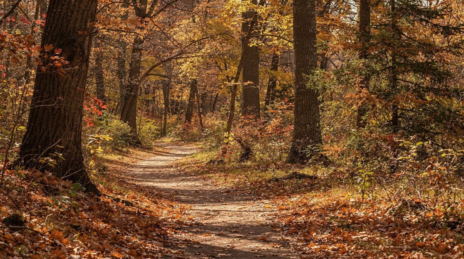 Gids voor de paden van High Park — Toronto's grootste park heeft 7 km paden door zeldzame eikensavanne, Grenadier P