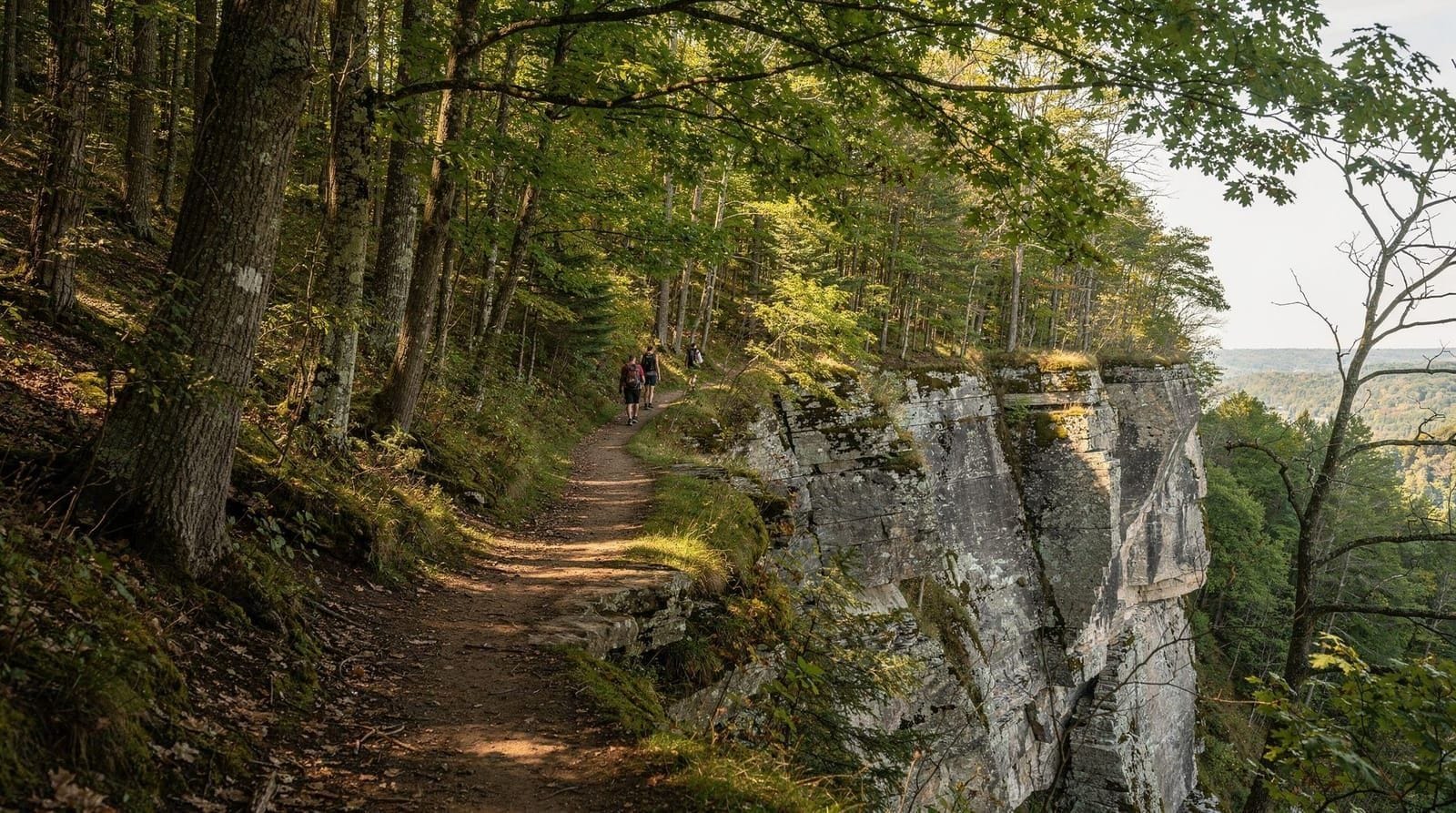 Gids Niagara Escarpment Trail — Wandelen op het Niagara-gedeelte van de Bruce Trail en de natuurgebiedpaden van 