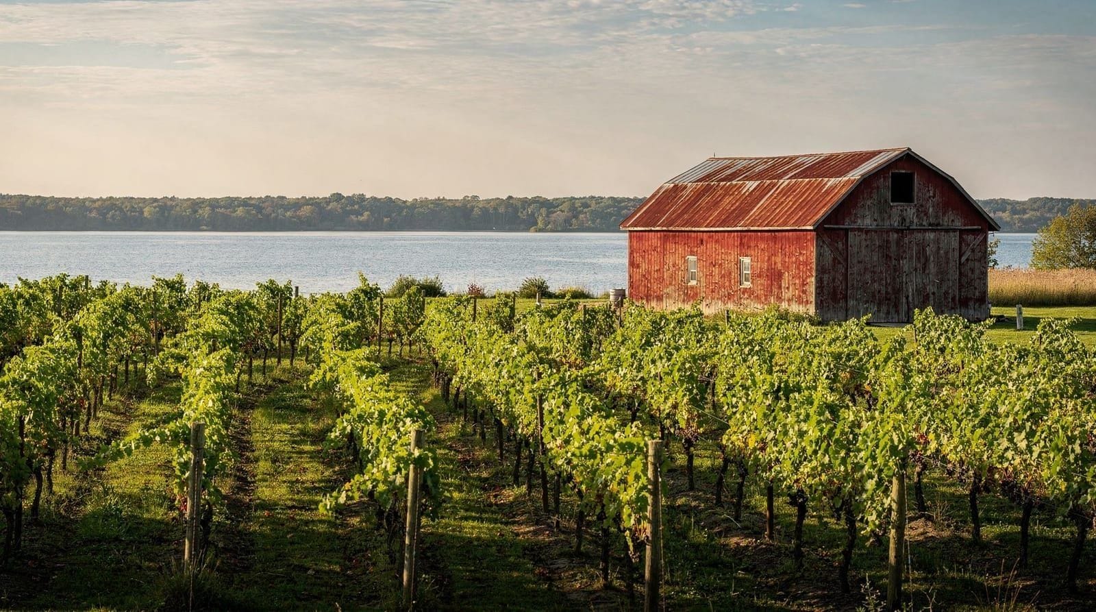 Dagtrip naar Prince Edward County vanuit Toronto — Prince Edward County als dagtrip vanuit Toronto: reistijd, of de wijnhuizen en S