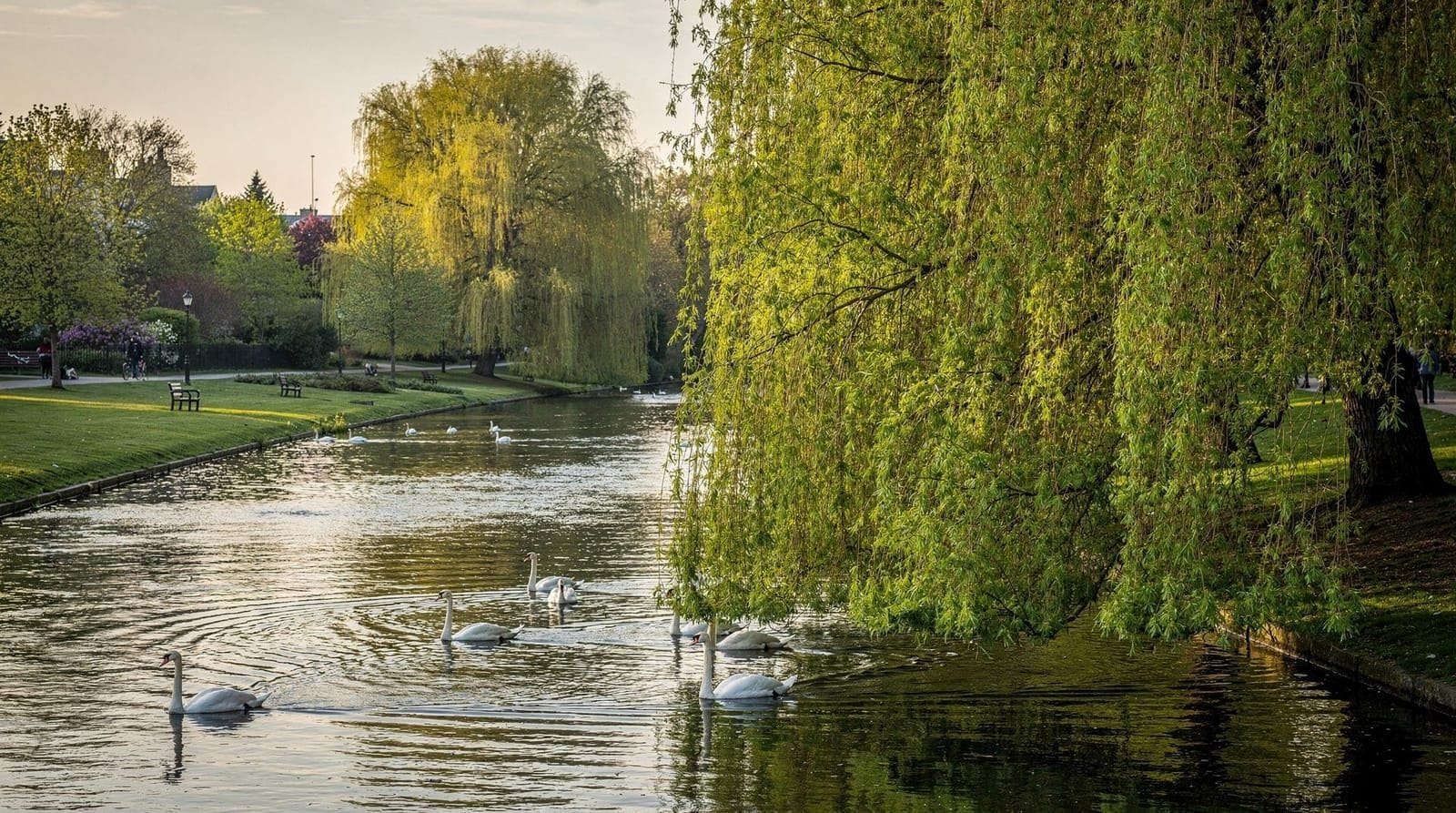 Dingen om te doen in Stratford — Theater van wereldklasse, tuinen aan de rivier en een verrassend sterke foodscen