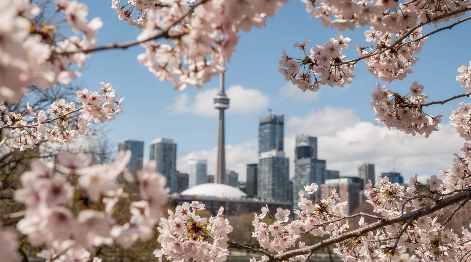 Guida a Toronto in primavera — Cosa aspettarsi da Toronto tra aprile e maggio: clima imprevedibile, la finestra
